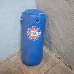 Punching Bag