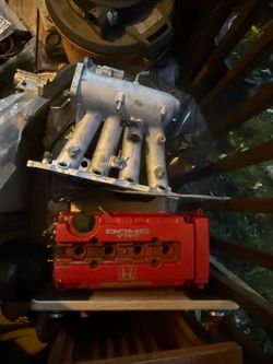 B16 head complete