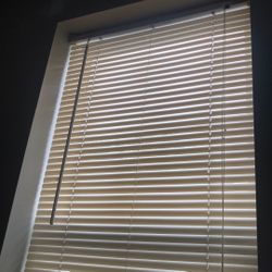 Window Blinds 27” W X 64” L Clean (3) All Three Blinds