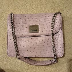 BCBG Purse 