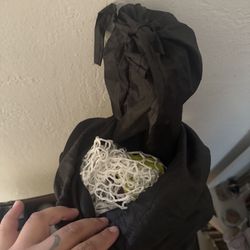 Golf Net