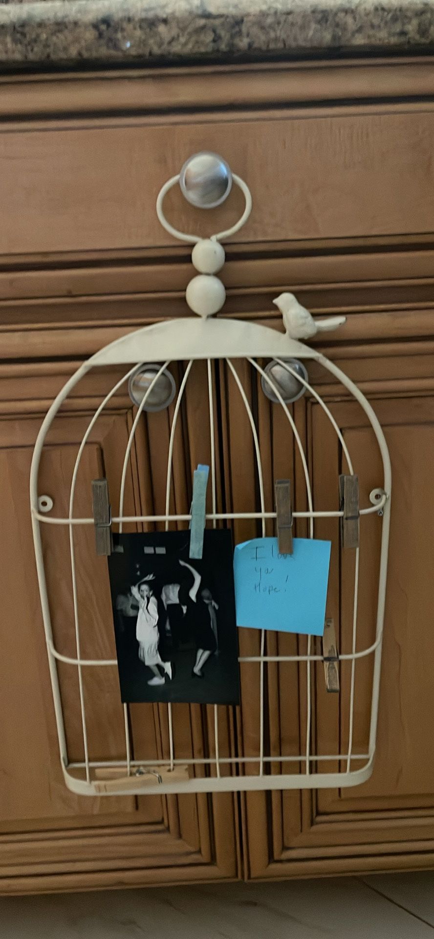 Cute Note/card Holder Birdcage