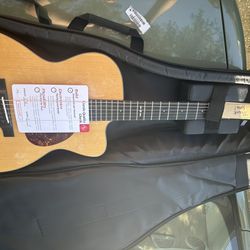 New Eastman Acoustic-electric Guitar 