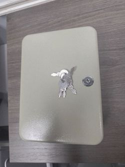 Small Metal Key Cabinet with Keys