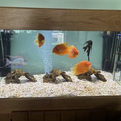 Fluval FX2 Canister Filter