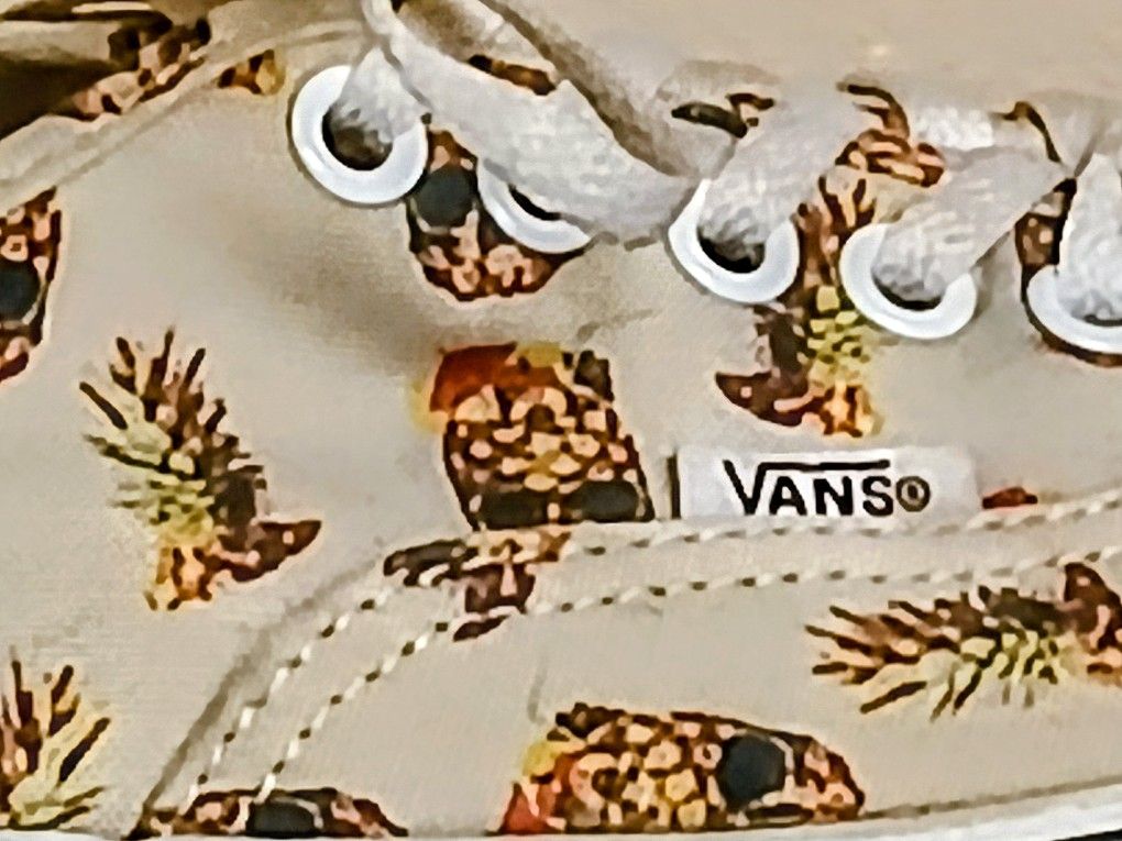 RARE Vans Authentic Pineapple Skull Sneakers (M 9.0/W 10.5) - Drained & Confused Print!