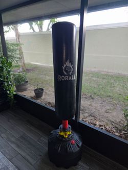 Punch kick bag