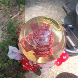 Glass Flower Globe 