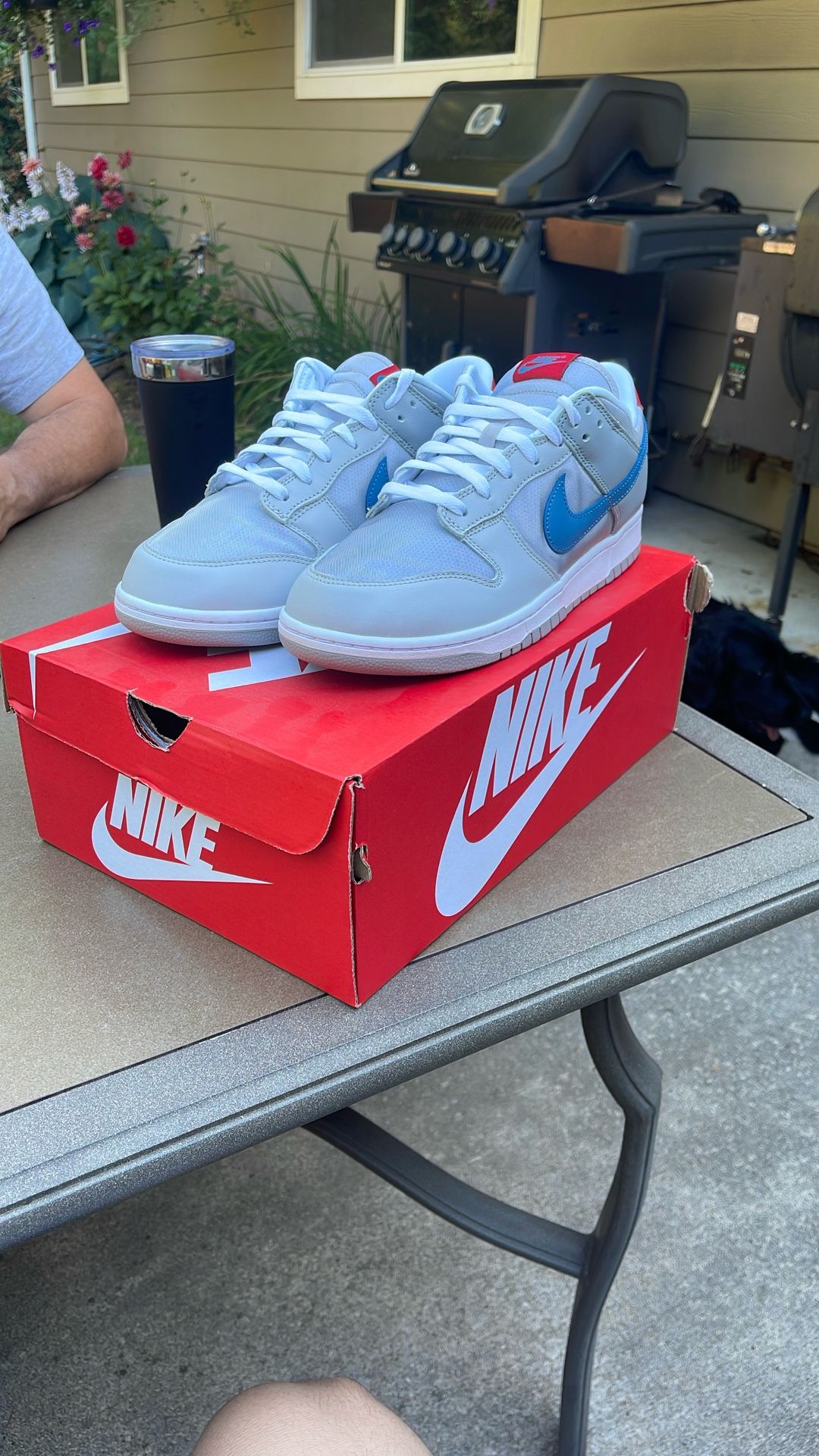 nike dunk silver surfer