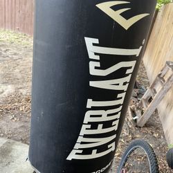 Everlast power core punching bag