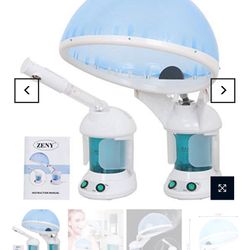 Hair Steamer 
