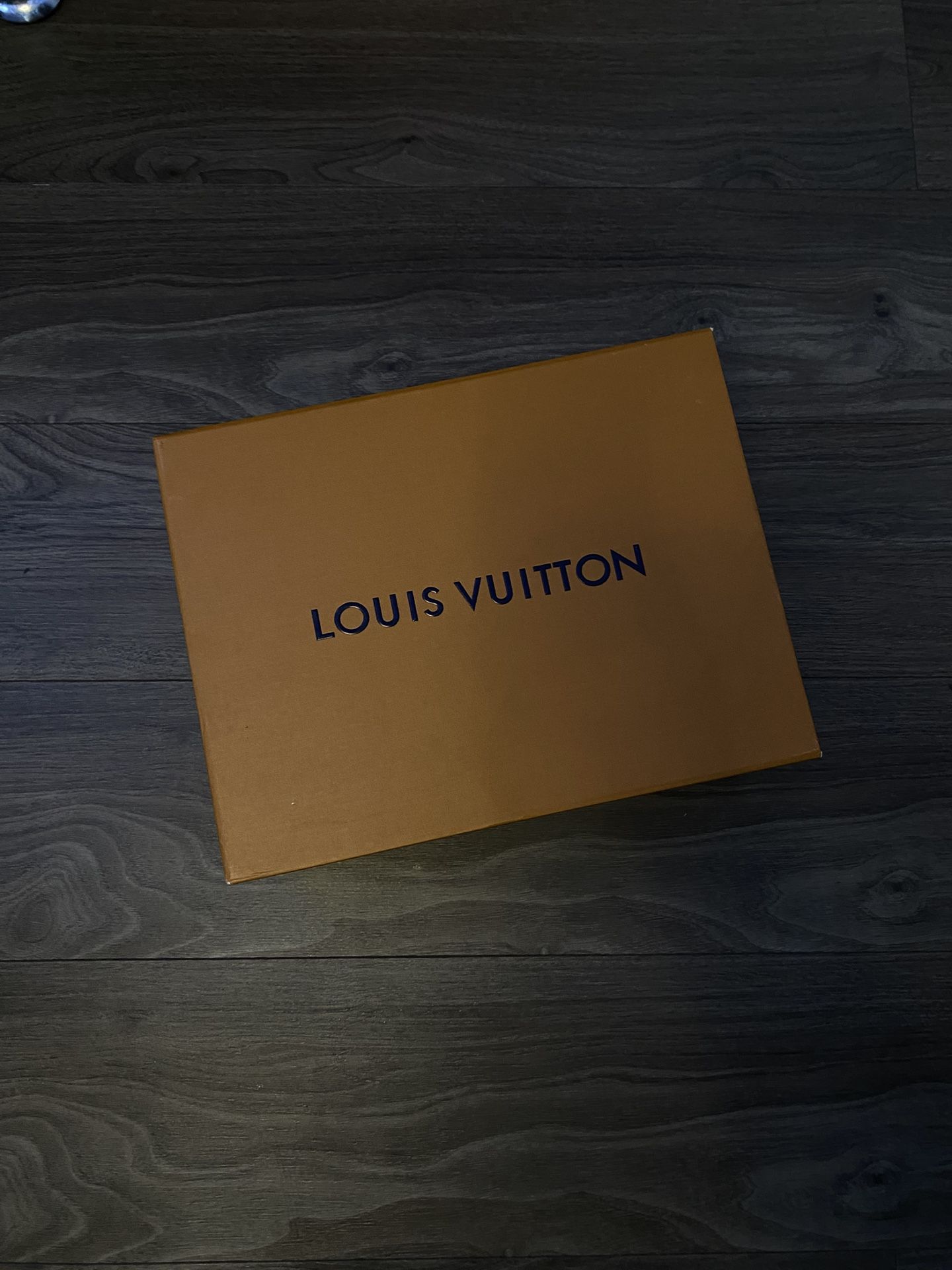Louis Vuitton Skate Sneaker 'Grey White'