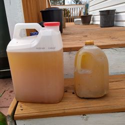 Recicled Oil