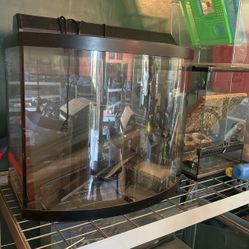 Bowfront Aquarium With Hood And Filter
