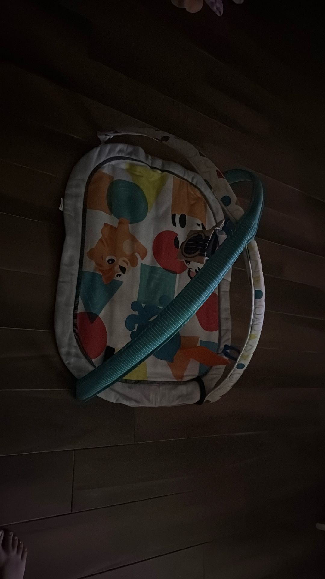 Baby Playmat