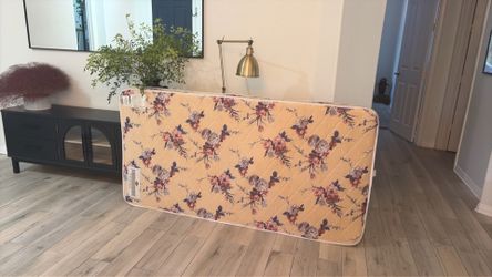 Twin Mattress $10