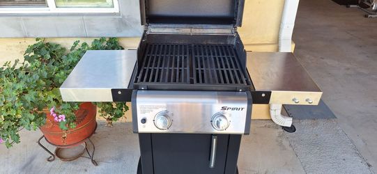 Barbecue Propane Grill