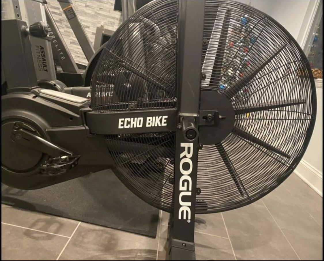 Rogue Echo bike 