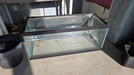 20 gallon long  fish tank