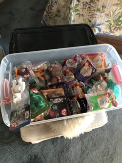 “Teeny” beanie babies