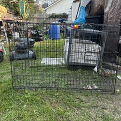 Cage