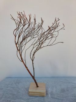 Manzanita Decor Responsibly Sourced