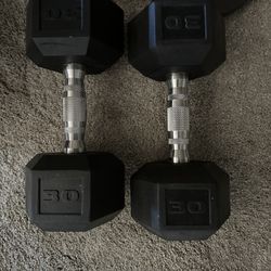 30LB Dumbbells 