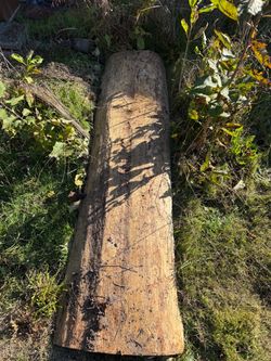 Large 6’6” Douglas fir Log Slab