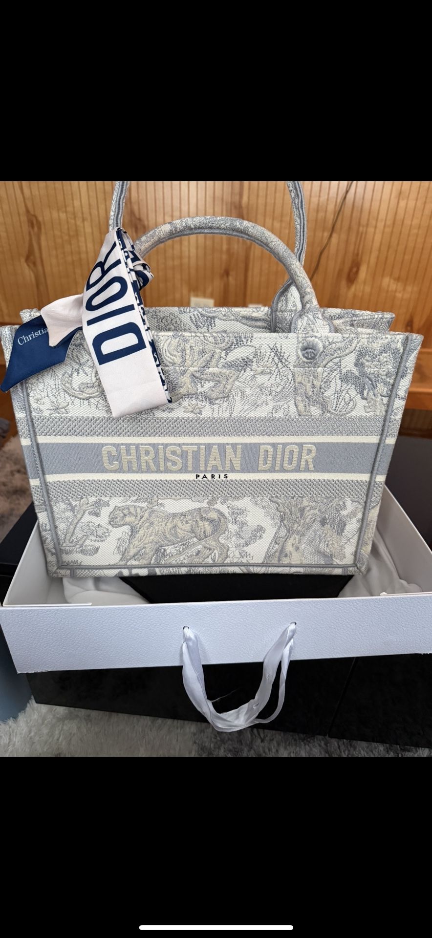 Dior Book Tote Bag 