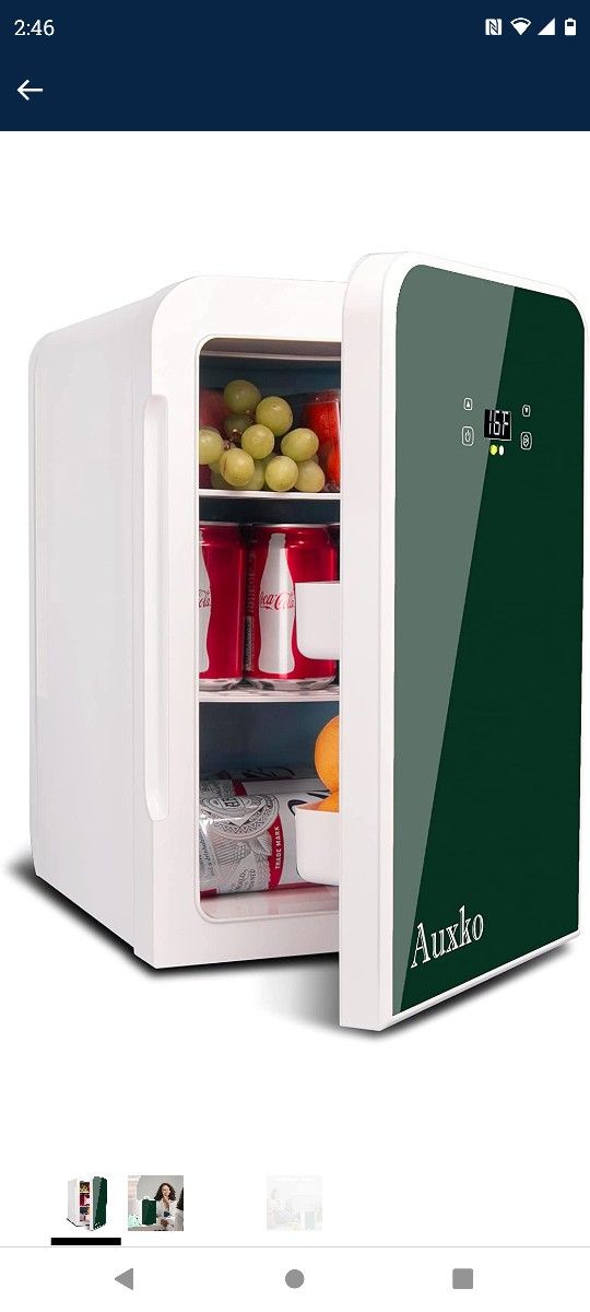 AUXKO Green Mini Fridge 22 Liter