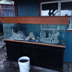 125 Gallon Glass Fishtank 