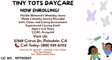 TINY TOTS DAYCARE