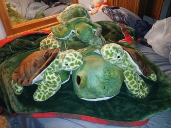 Turtles