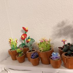 LEGO Botanicals Tiny Plants