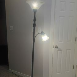 2 light lamp. It's about 6ft tall. Brand new