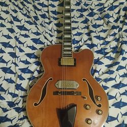 Ibanez Artcore Expressionist AF95 Hollow Body Electric Guitar