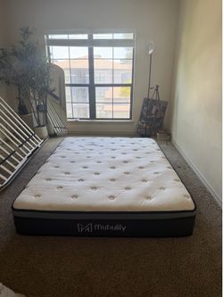 $30 Queen Mattress
