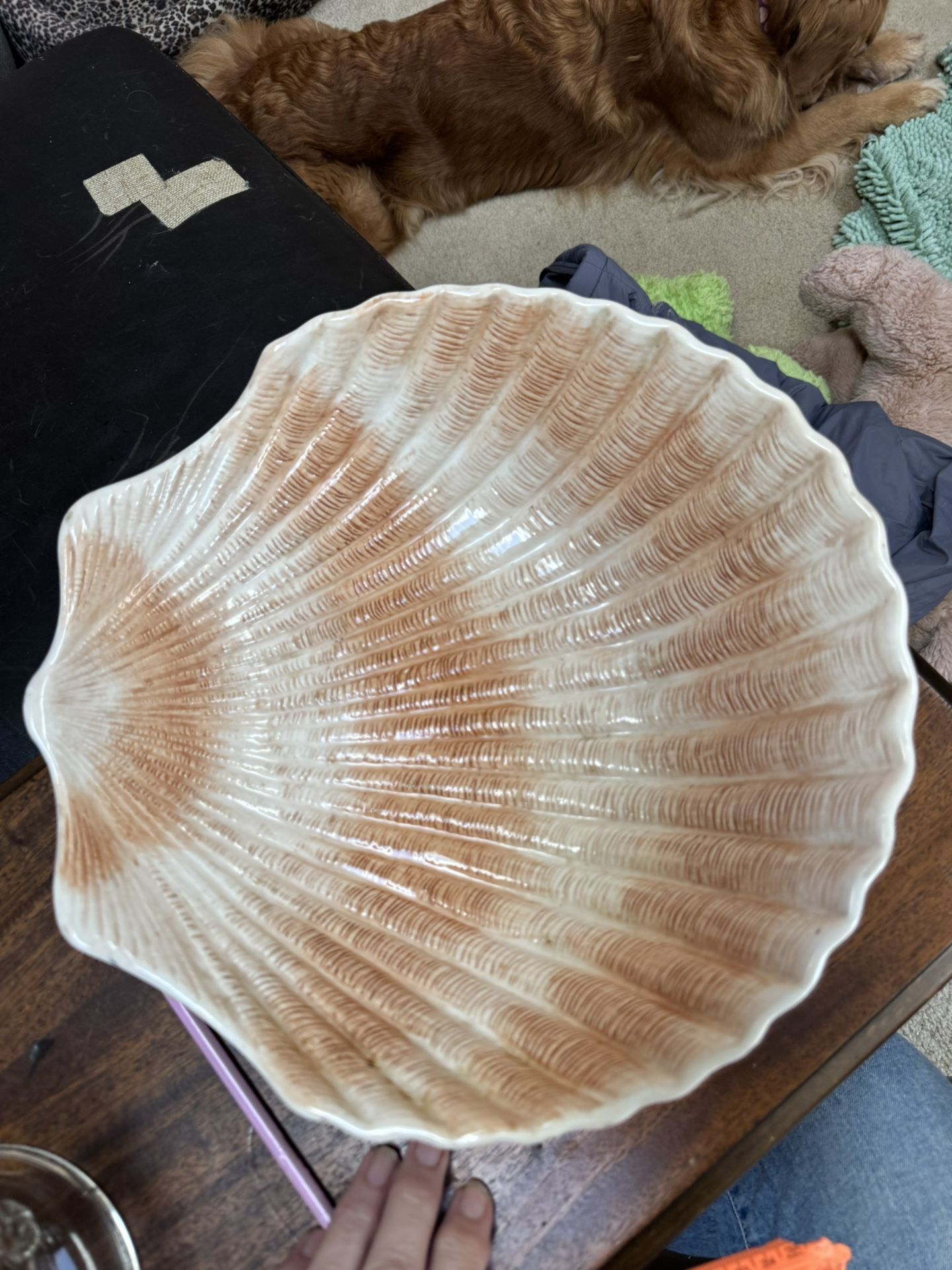 Porcelain Shell Bowl