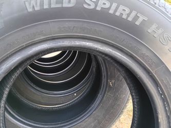 Wild SPIRT HST-C 225/75R16C