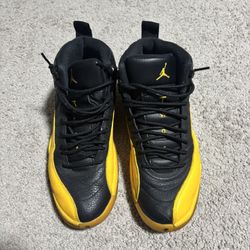 Jordan retro 12s 