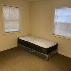 Posture deluxe twin mattress