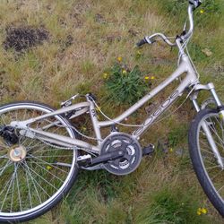 Womans Bycicle