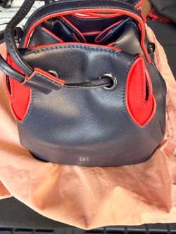 Parisa women purse