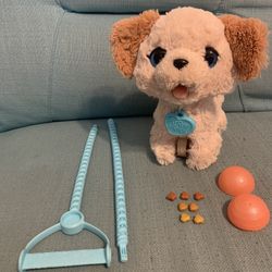 Toy