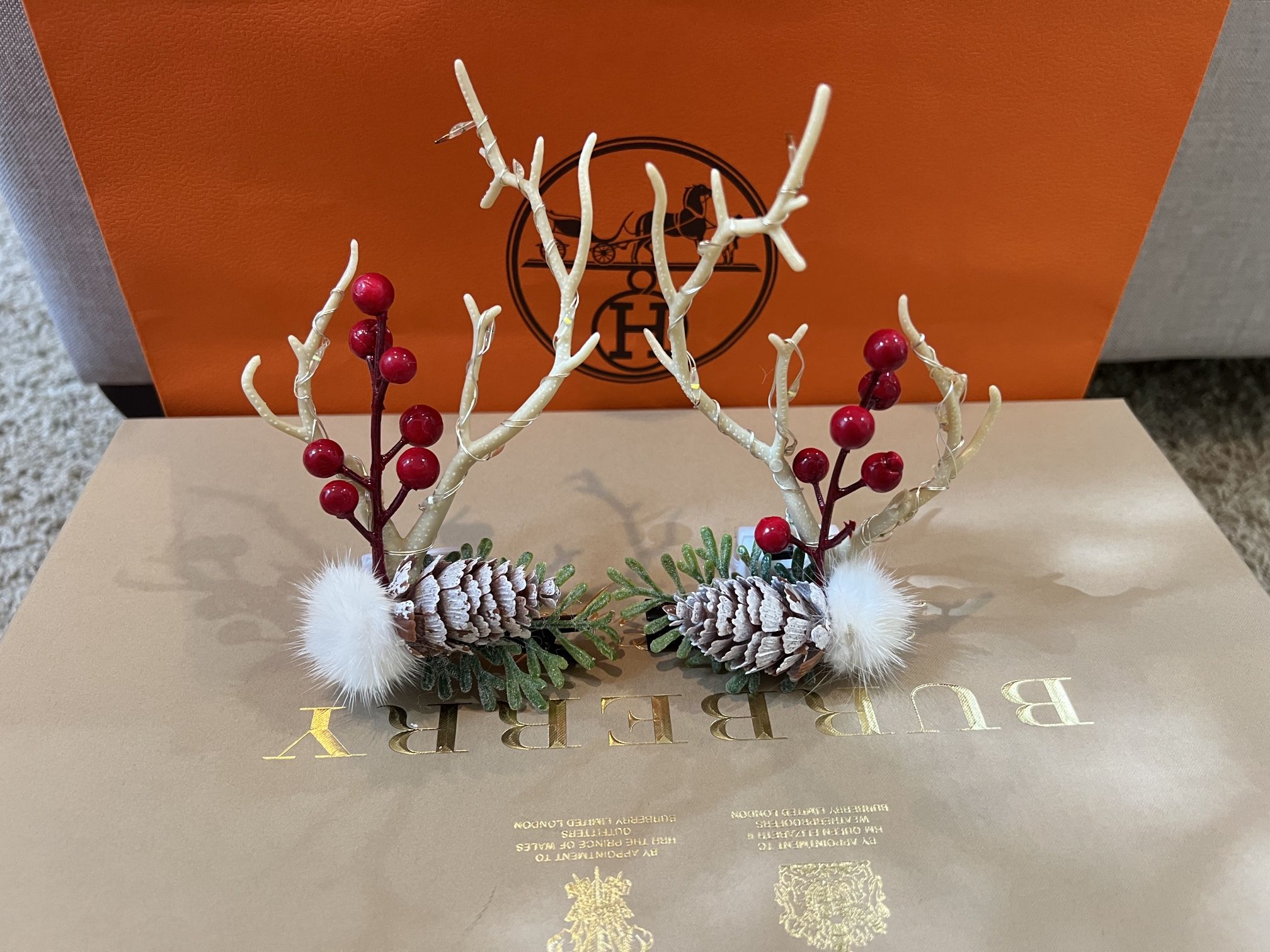 Hair clips