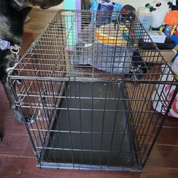 Top Paw 30" Folding Wire Dog Crate w/ Tray (Medium)