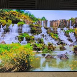 LG OLED 65” 4K TV - C1 