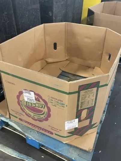 Gaylord Bin Carton Box Watermelon Bin Only 