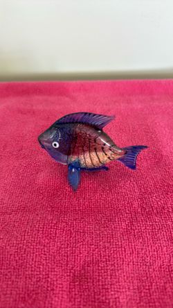 Glass fish