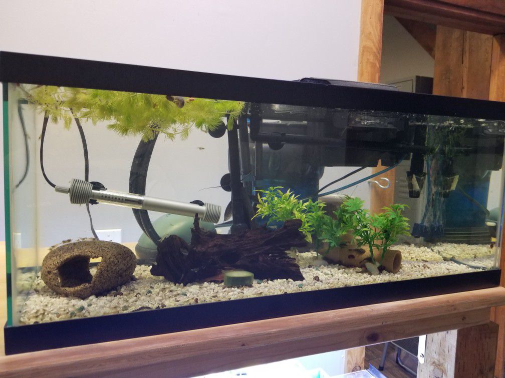 20 Gallon Aquarium Fish Tank